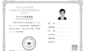 中国人事考试网2021年环境影响评价工程师电子证书有关说明